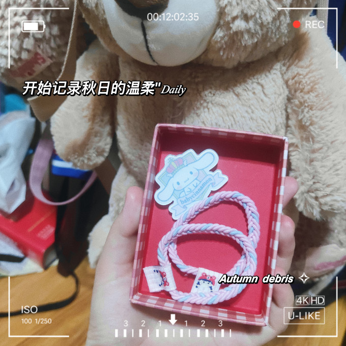 美丽公主发饰