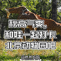 我的溜娃日记 篇四：秋高气爽，和娃一起打卡北京动物园吧（2岁娃动物园游玩攻略）