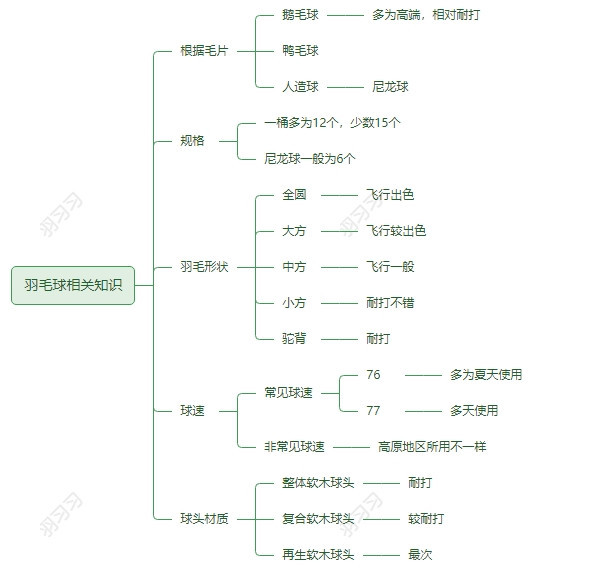 羽毛球