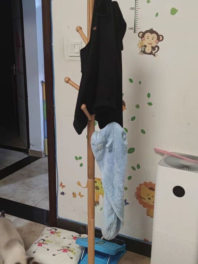 衣帽架