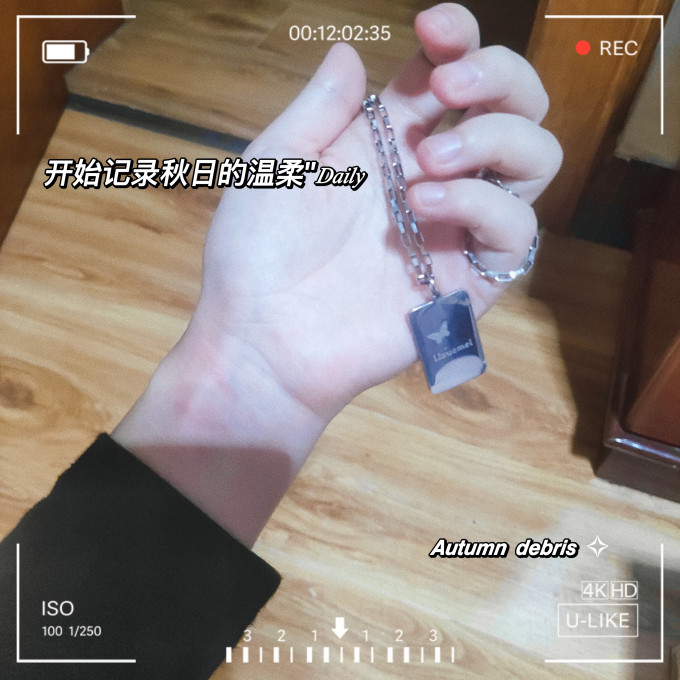 北极绒时尚项链