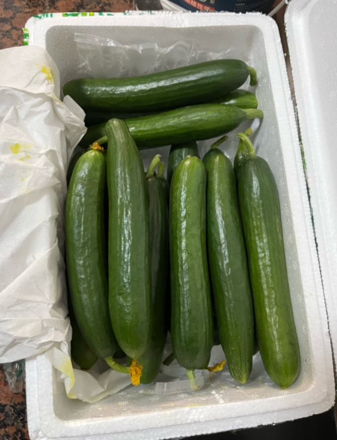 蔬菜