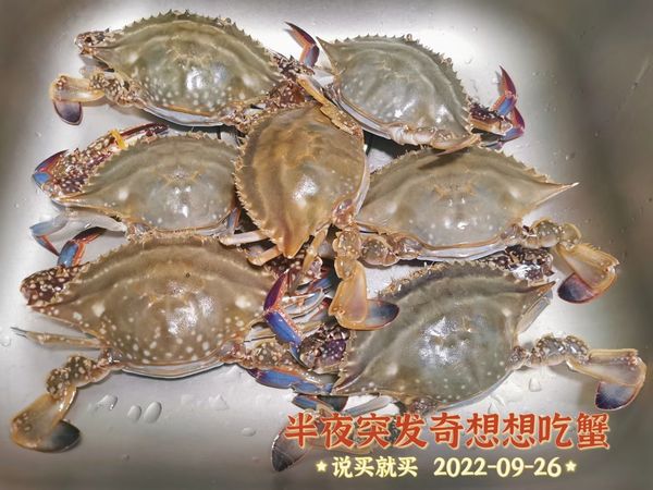 阳澄湖的朋友们告诉我这是不是真的！！