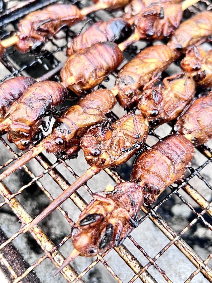 汇尔康其他肉类怎么样 嘎嘣脆烤知了,荣获今天烧烤全场最佳mvp!