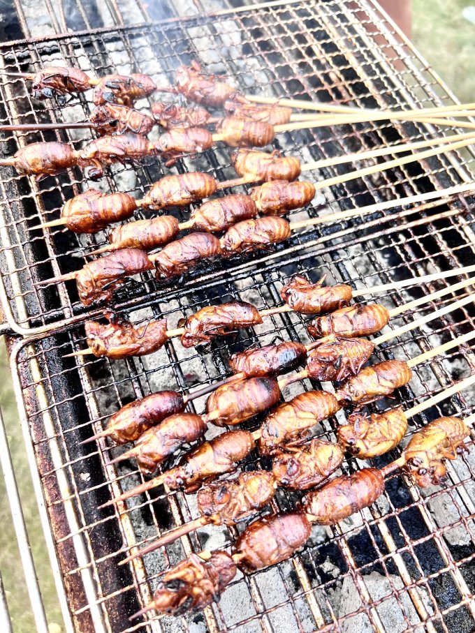 汇尔康其他肉类怎么样 嘎嘣脆烤知了,荣获今天烧烤全场最佳mvp!