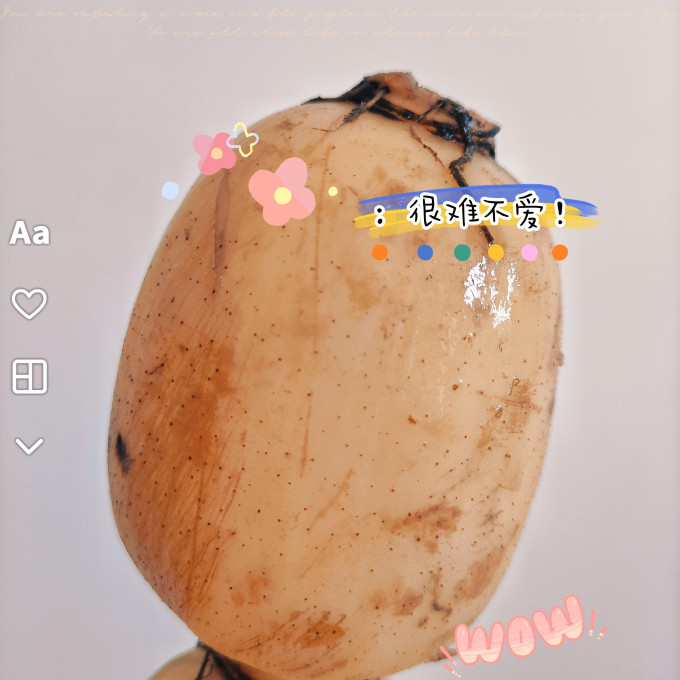小汤山蔬菜