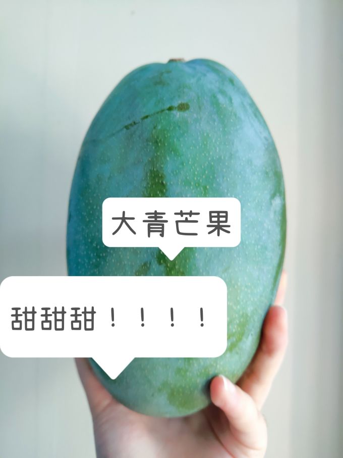 京觅芒果