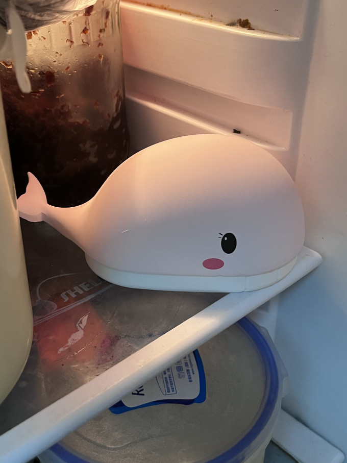 净化除味
