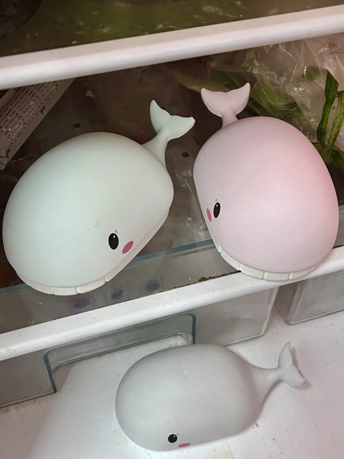 净化除味