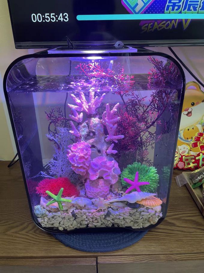 水族用品