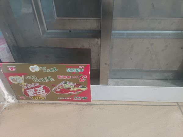 出租屋的蟑螂救星