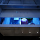 《到站秀》宽幅变温三循环 能当三台冰箱用的TCL 格物Q10到站体验