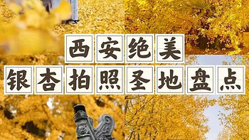 国庆七天乐——最美银杏打卡地！