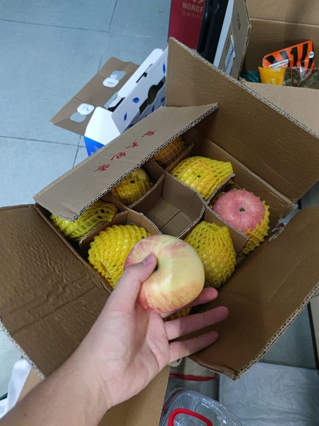 美味的维C战士