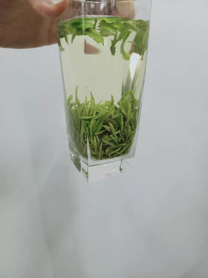 茶类