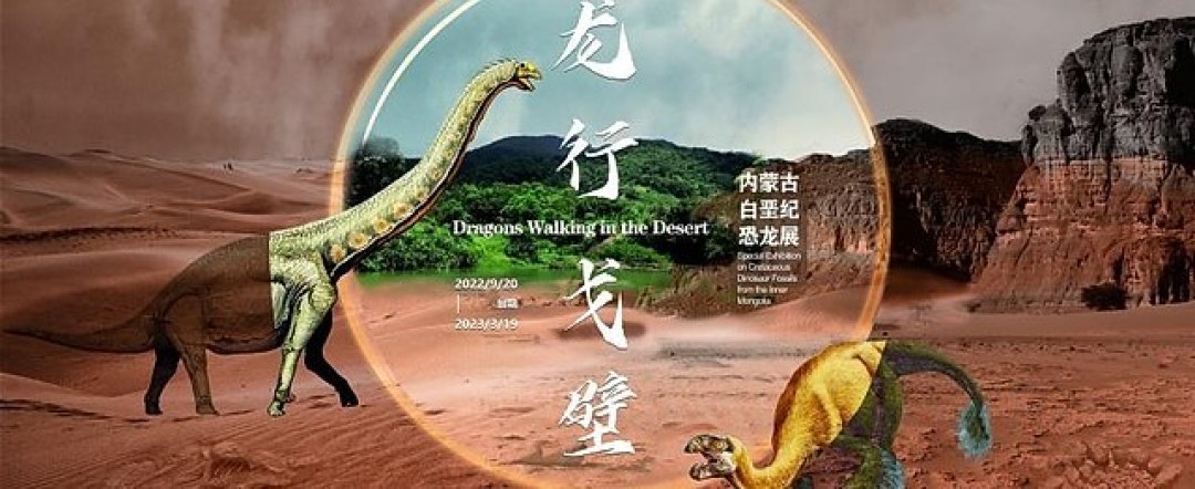 就地过节?北京及周边30+艺术展,让你过得一样精彩