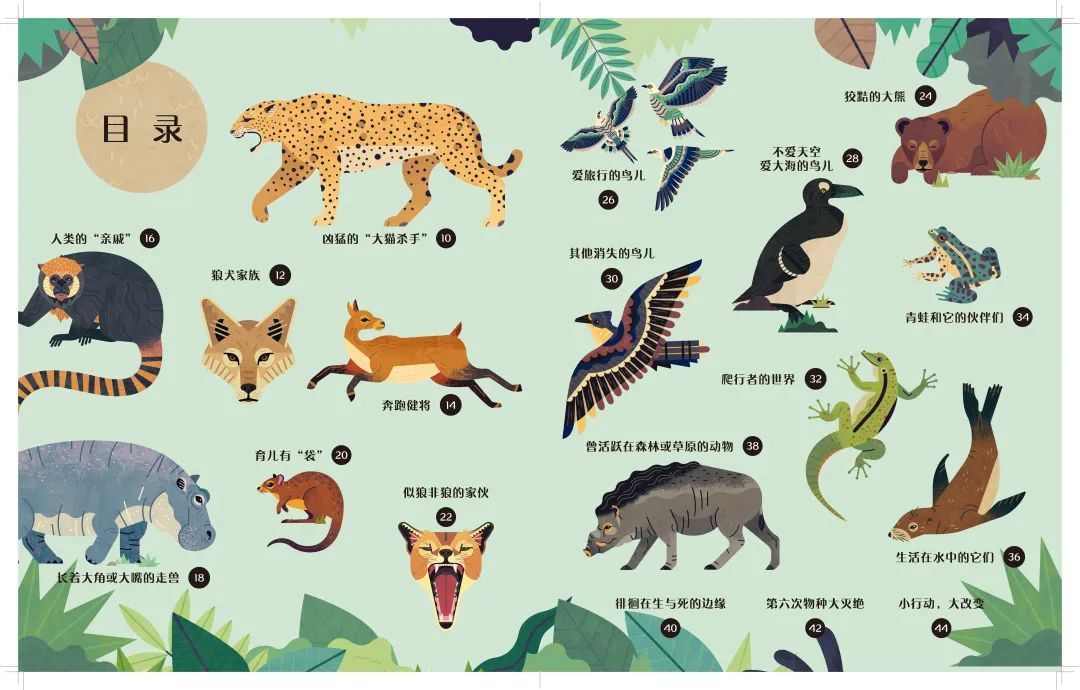 揭秘86种动物的繁盛与消亡，这本童书值得一读～