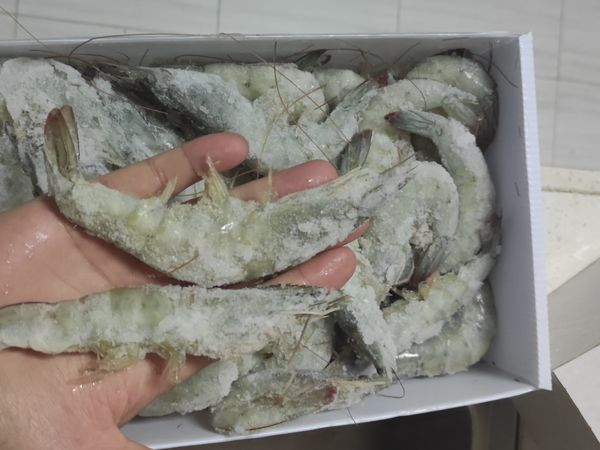 无限回购款大虾