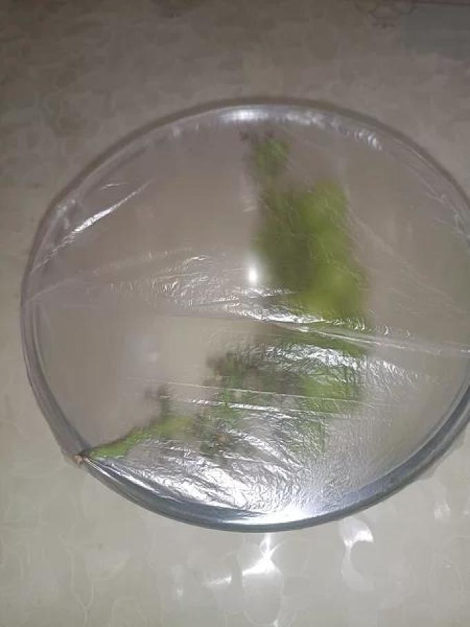 宅小二收纳保鲜