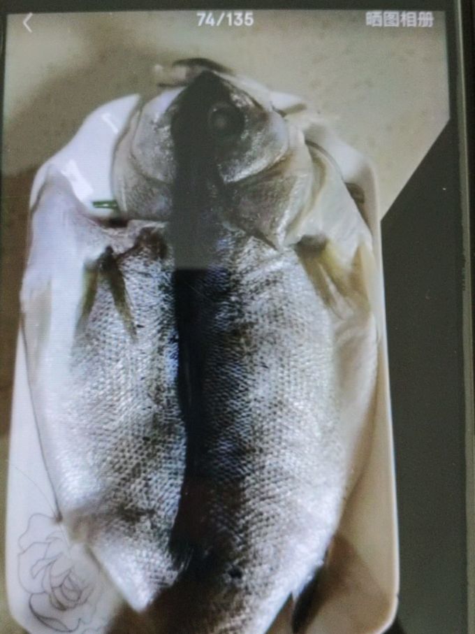 海名威鱼类