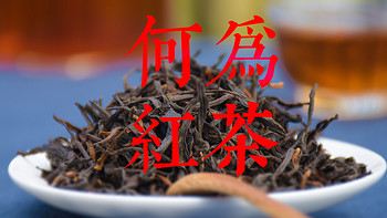 六大茶类通识 篇四：万字长文，一篇读懂：什么是红茶 