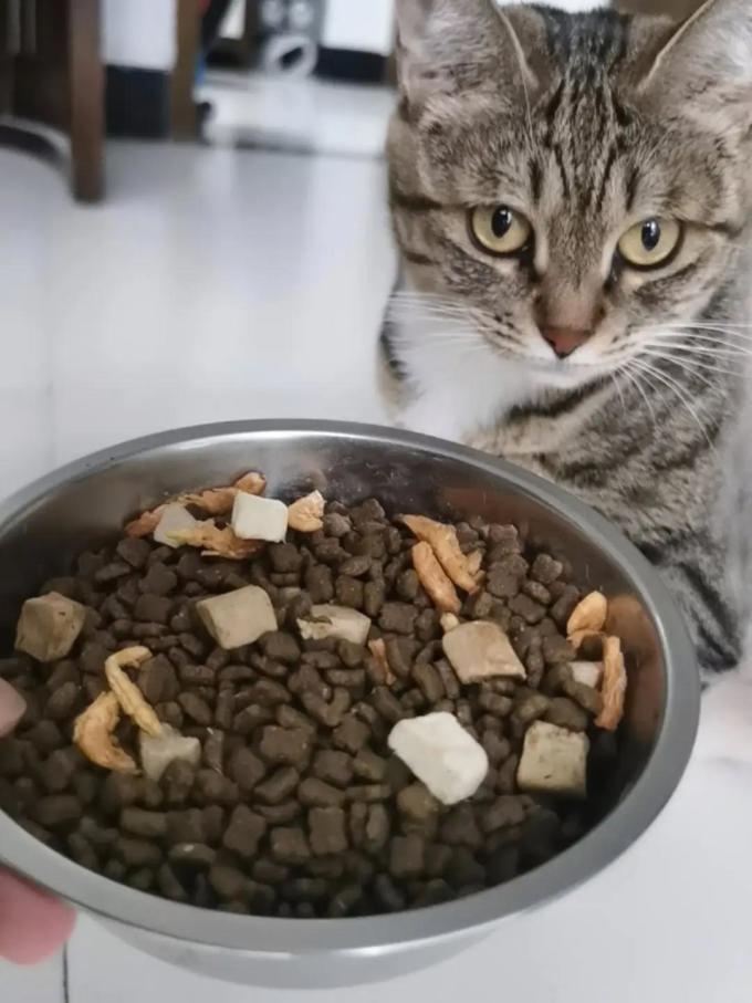卫仕猫咪干粮