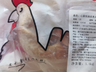 温氏大公鸡