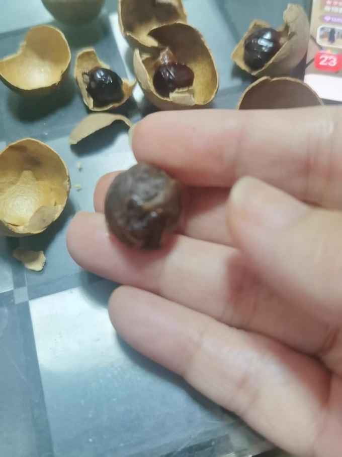 真亲惠南北干货