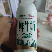 这很清真，时隔多年又买了一次蒙牛牛奶。