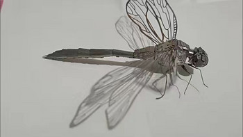 玩具手指蜻蜓3D手工DIY拼装模型3D立体