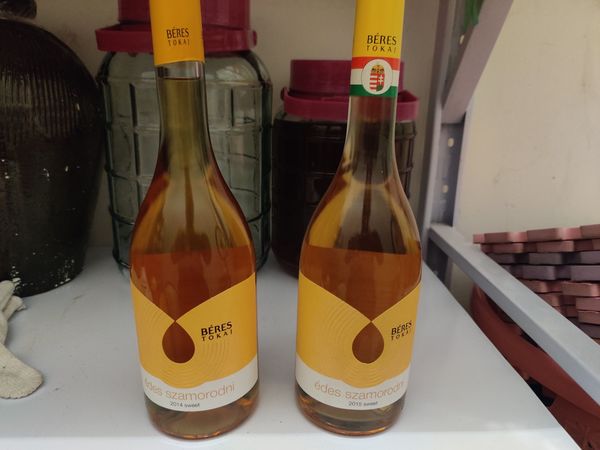 伯瑞斯晚收甜白新老对比