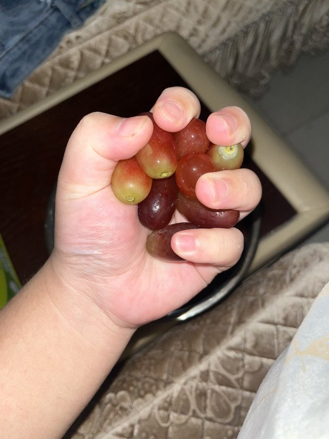 手指葡萄，嘎嘎甜的葡萄