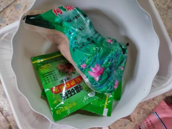 鲜花绿植