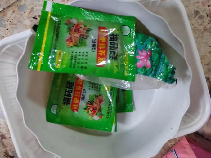 鲜花绿植