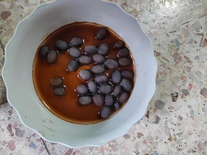 鲜花绿植