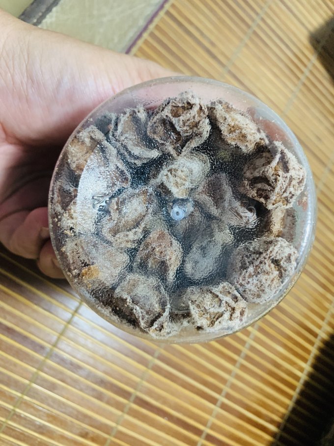 华味亨蜜饯果脯
