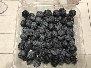 山姆智利蓝莓