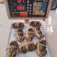 重阳节 和父母一起吃王氏螃蟹吧