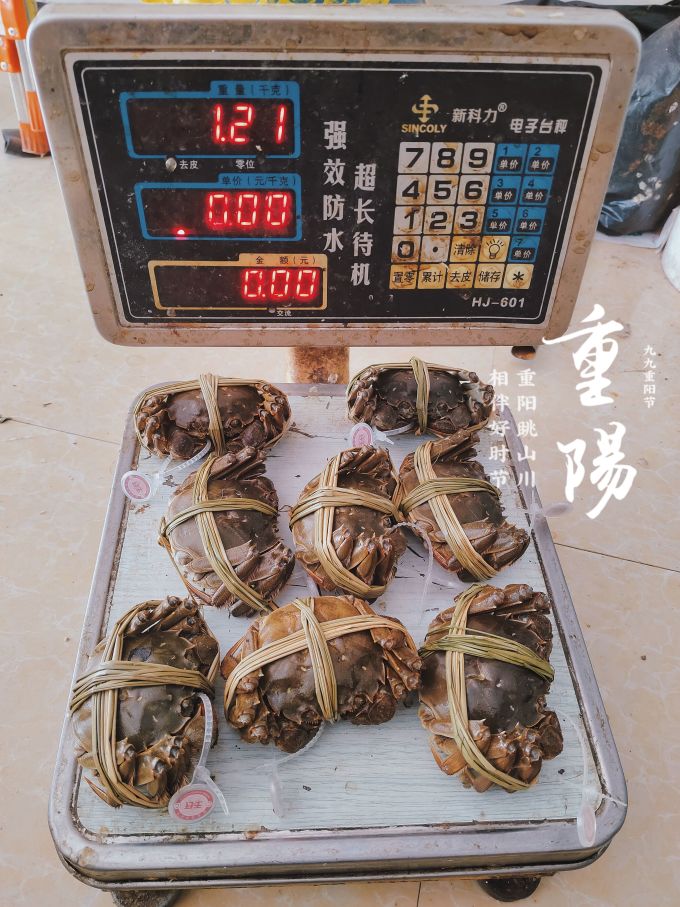 王氏蟹类