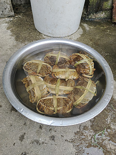 重阳节 和父母一起吃王氏螃蟹吧
