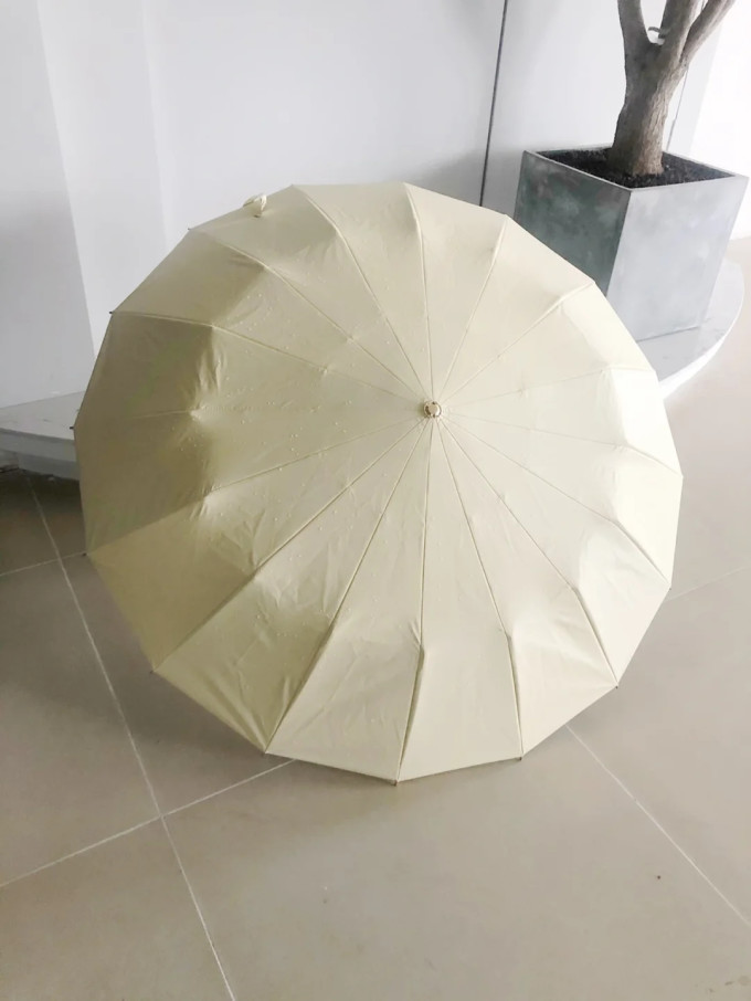 雨伞
