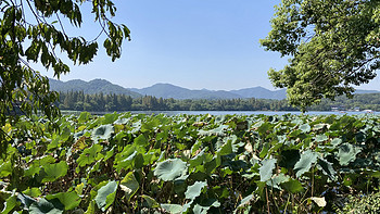 野餐也可以吃得很好，有鱼有肉西湖游