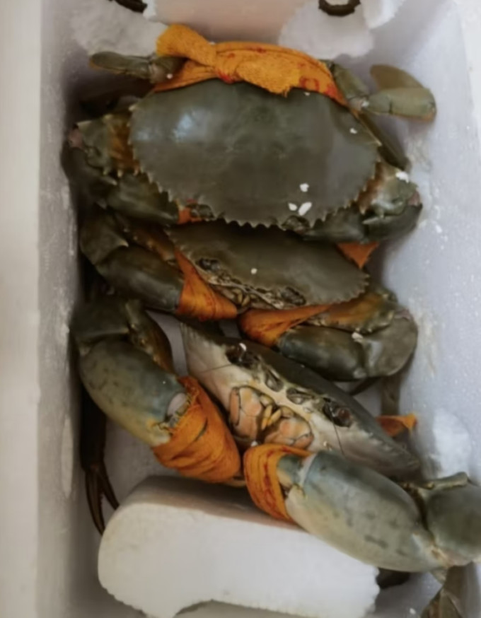 掌昕鲜蟹类