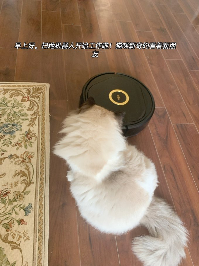 趣飞扫地机器人