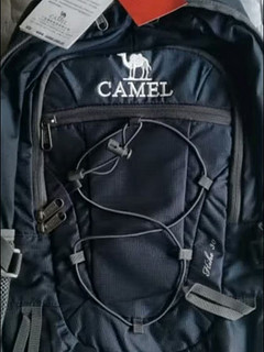 骆驼户外大容量背包，绝对值