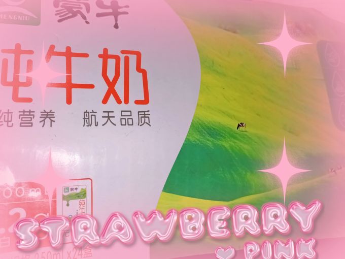 蒙牛奶类制品