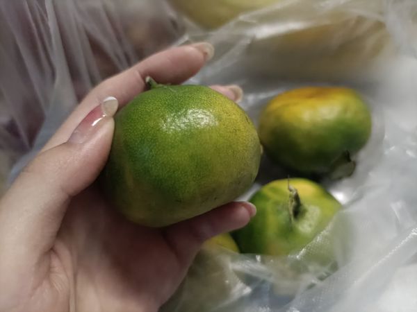 皮薄肉多的橘子