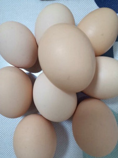温润 鲜鸡蛋 