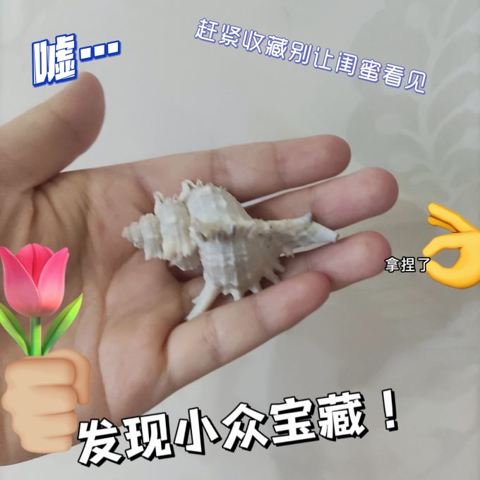 鱼缸