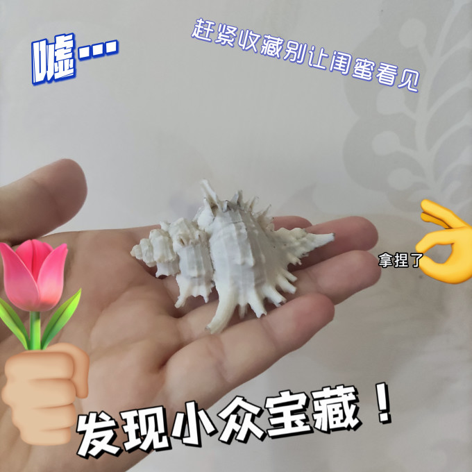 鱼缸
